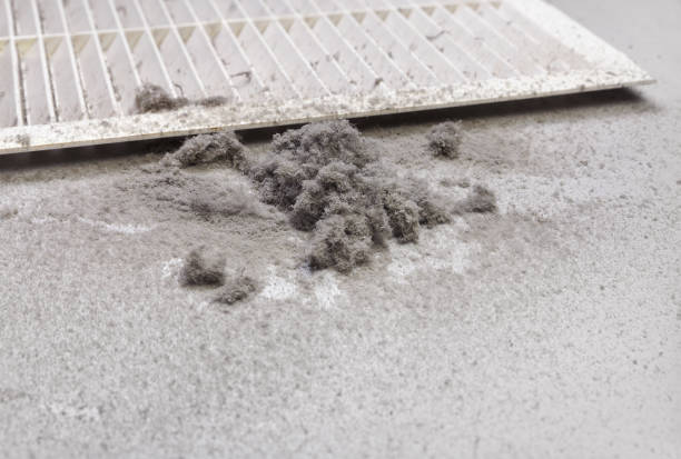 Best Residential Air Duct Cleaning  in Greensboro, MD